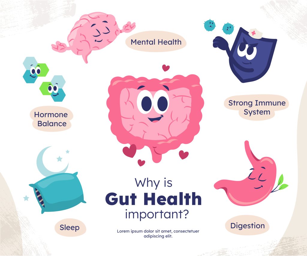 How Diet Can Boost Your Gut Health? 10 Diet Secrets You Need to Know