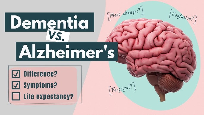 Dementia vs Alzheimer’s: Symptoms, Stages, Types, and More