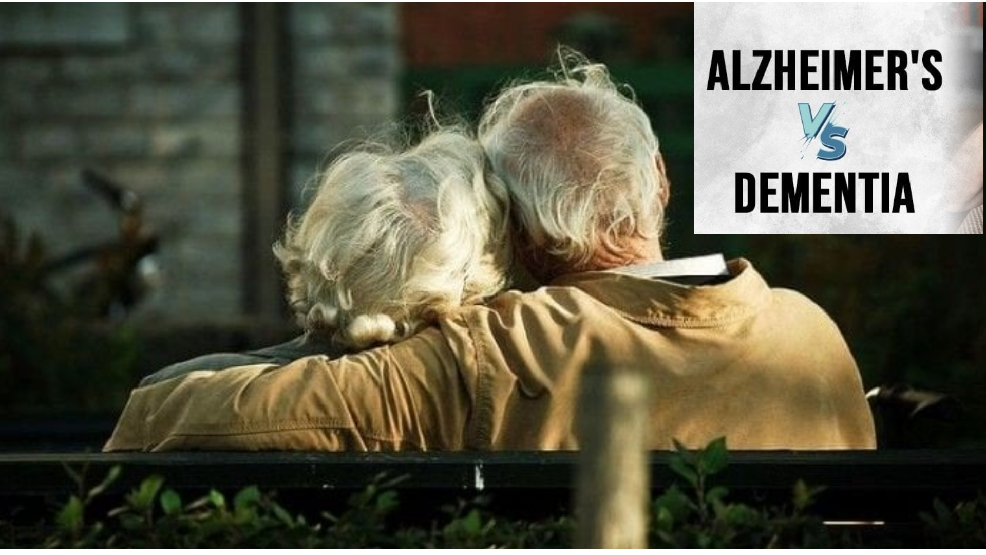 Dementia vs Alzheimer’s: Symptoms, Stages, Types, and More