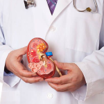 "Graphic showing a cross-section of kidney stone with highlighted kidney stones, accompanied by text explaining causes and treatment."