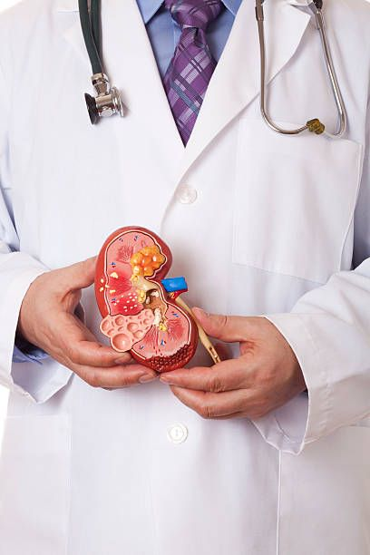 "Graphic showing a cross-section of kidney stone with highlighted kidney stones, accompanied by text explaining causes and treatment."